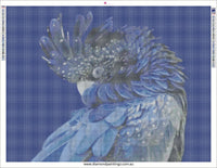 Black Cockatoo - * Made to order … Full Coverage Of Diamonds