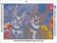 Cats animal cat Diamond Painting IN STOCK NOW FROM AUSTRALIA