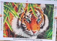 Tiger Big cat … Full Coverage of Diamonds - Made to Order