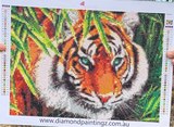 Tiger Big cat … Full Coverage of Diamonds - Made to Order