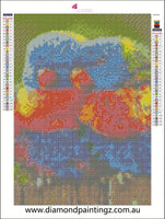 Lorikeet birds Diamond Painting IN STOCK NOW FROM AUSTRALIA