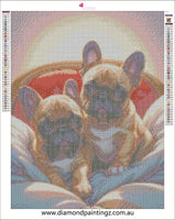 Dog … Full Coverage of Diamonds - Made to Order - round or square - poured glue or Double sided Tape Adhesive - Australian Company
