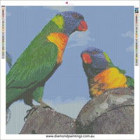 Lorikeet Australian bird animal … - Full Coverage of Diamonds - Made to Order - round or square - poured glue or Double sided Tape Adhesive - Australian Company