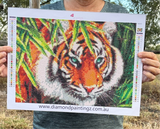 Tiger Diamond Painting IN STOCK NOW FROM AUSTRALIA