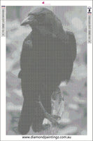 Crow # 2 * Pre Order (Made to order) …- Full Coverage of Diamonds