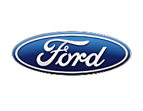 Ford logo … Full Coverage of Diamonds - Made to Order