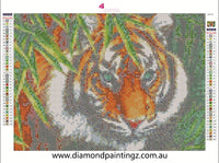 Tiger Diamond Painting IN STOCK NOW FROM AUSTRALIA