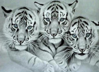 3 tiger family … Full Coverage of Diamonds - Made to Order