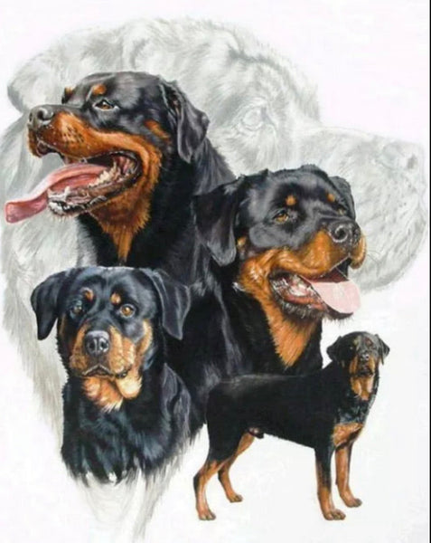 Dog … Full Coverage of Diamonds - Made to Order - round or square - poured glue or Double sided Tape Adhesive - Australian Company