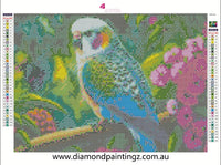 Blue budgie Bird Diamond Painting IN STOCK NOW FROM AUSTRALIA