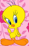 Tweetie … Full Coverage of Diamonds - Made to Order