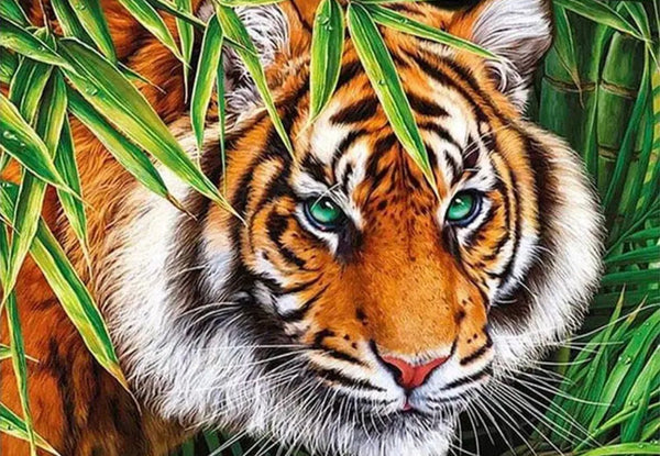 Tiger Big cat … Full Coverage of Diamonds - Made to Order