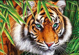 Tiger Diamond Painting IN STOCK NOW FROM AUSTRALIA