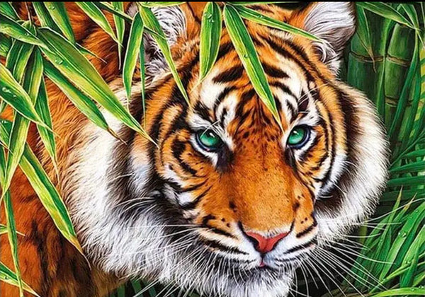 Tiger Diamond Painting IN STOCK NOW FROM AUSTRALIA
