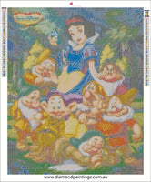 Snow White and 7 Dwarfs - * Pre Order (Made to order) … Full Coverage of Diamonds