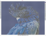 Black Cockatoo - * Made to order … Full Coverage Of Diamonds