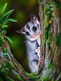 Sugar glider Australian Animal  … Full Coverage of Diamonds - Made to Order