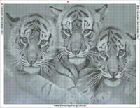 3 tiger family … Full Coverage of Diamonds - Made to Order