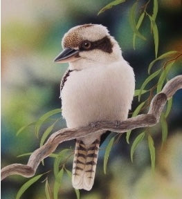 Kookaburra … Full Coverage of Diamonds - Made to Order