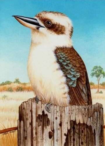 Kookaburra … Full Coverage of Diamonds - Made to Order