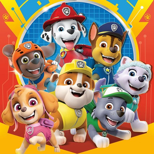 Paw patrol … - Full Coverage of Diamonds - Made to Order - round or square - poured glue or Double sided Tape Adhesive - Australian Company