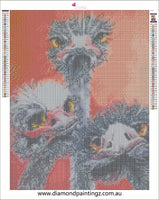 Emu Diamond Painting - … Full Coverage Of Diamonds - Made to Order