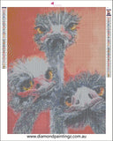 Emu Diamond Painting - … Full Coverage Of Diamonds - Made to Order