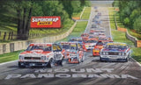 Mount Panorama ( Bathurst ) Holden and Ford Great Race … Full Coverage of Diamonds - Made to Order