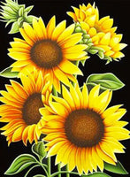 Sunflowers  … Full Coverage of Diamonds - Made to Order