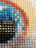 Rainbow Girl … Full Coverage of Diamonds - Made to Order