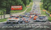 Mount Panorama ( Bathurst ) Holden and Ford Great Race … Full Coverage of Diamonds - Made to Order