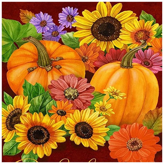 Pumpkin * Pre Order (Made to order) … - Full Coverage of Diamonds