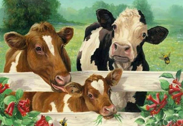 Cows - * Made to order … Full Coverage Of Diamonds