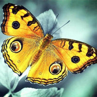 Butterfly # 15 … - Full Coverage of Diamonds - Made to Order