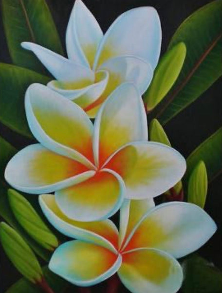 Frangipani flower - … Full Coverage Of Diamonds - Made to Order