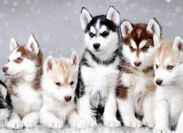 Dog Wolf Family Wolves - * Made to order … Full Coverage Of Diamonds