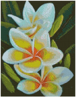 Frangipani flower - … Full Coverage Of Diamonds - Made to Order