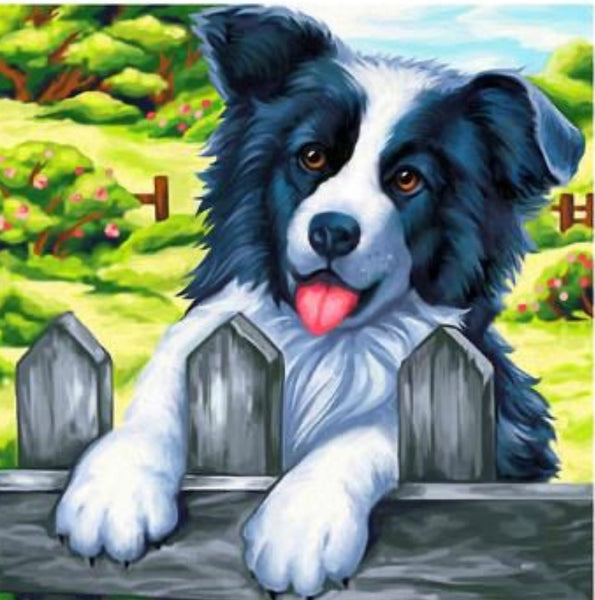 Dog … - Full Coverage of Diamonds - Made to Order