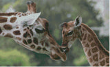 Giraffe # 4 * Pre Order (Made to order) … Full Coverage of Diamonds