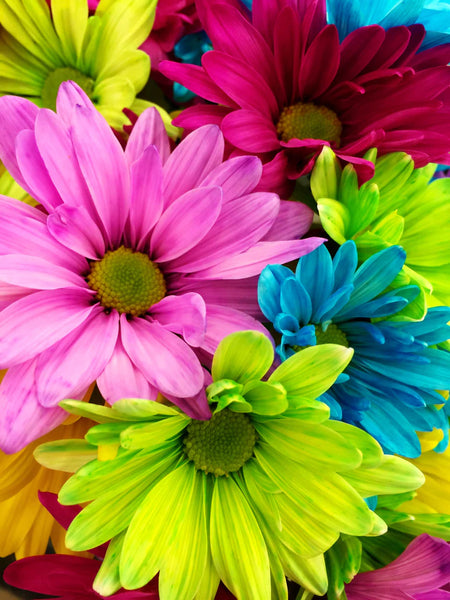Flower daisy diamond painting - * Made to order …Full Coverage Of Diamonds