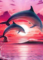 Dolphin # 10 - * Made to order … Full Coverage Of Diamonds