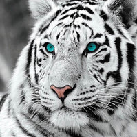 Blue Eyes … - Full Coverage of Diamonds - Made to Order