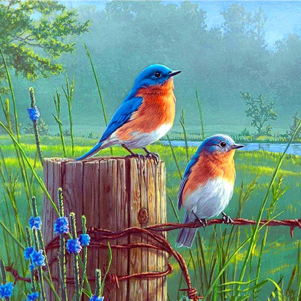 Birds # 6 … - Full Coverage of Diamonds - Made to Order