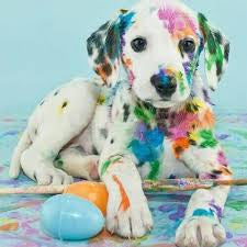 Dalmatian Dog diamond painting - * Made to order … Full Coverage Of Diamonds