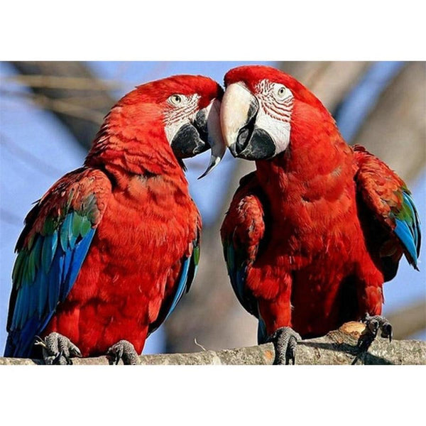 Parrots * Made to order … - Full Coverage of Diamonds