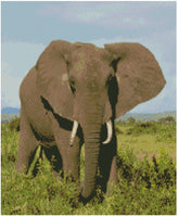 Elephant 6 - Pre Order (Made to order) … Full Coverage Of Diamonds