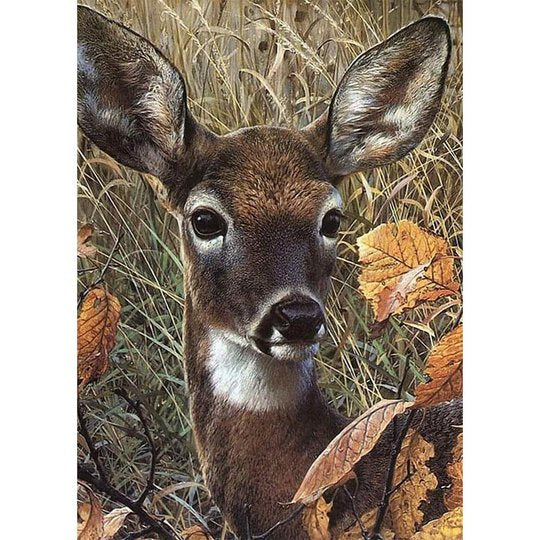 Forest Deer - … Full Coverage Of Diamonds - Made to Order