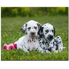 Dalmatian Dog diamond painting - * Made to order … Full Coverage Of Diamonds