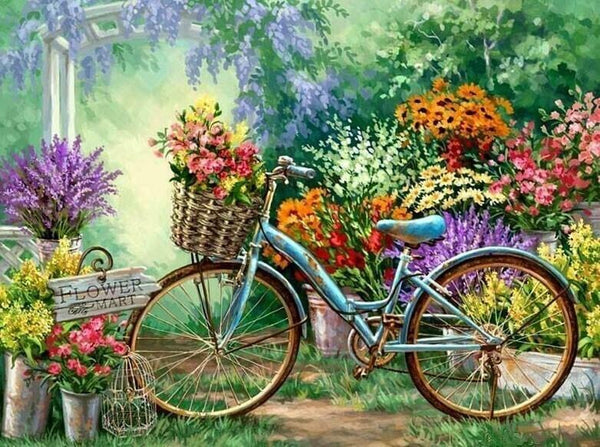 Cottage Bike - … Full Coverage Of Diamonds
