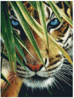 Tiger # 12 - … made to order .. Full Coverage Of Diamonds